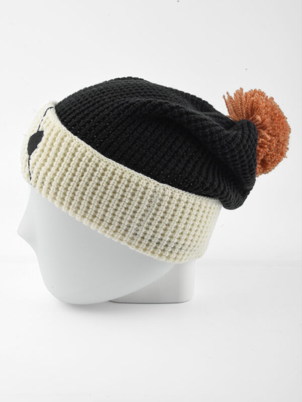 Soul Society / Substitute Shinigami