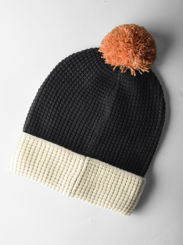 Soul Society / Substitute Shinigami